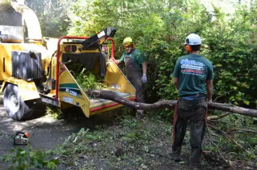 tree services Sulphur Rock